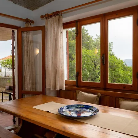 Bados 8 - Klodge 올비아